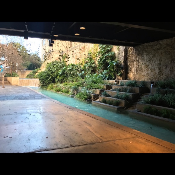 Meet your Posher, Elizabeth - Picture 1 of 1